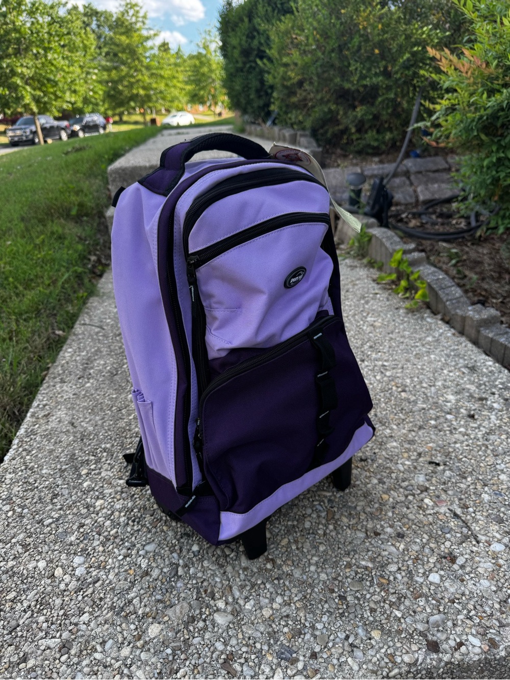 Casual Gear Purple Rolling Laptop Backpack with Dual-Tone Design
